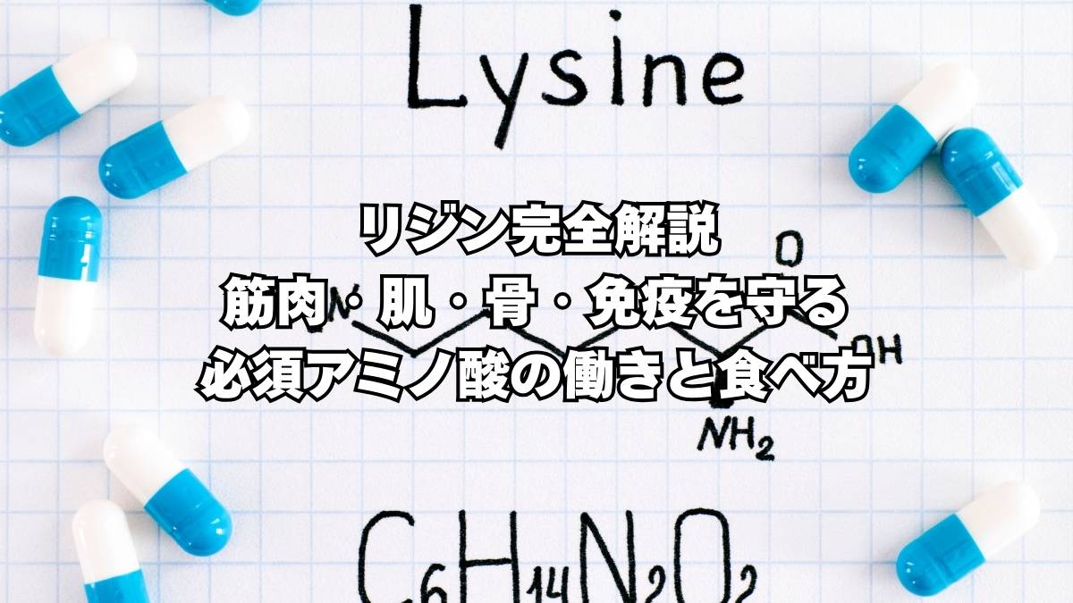 リジン