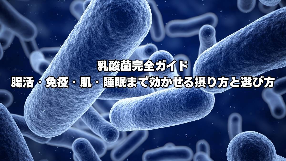 乳酸菌