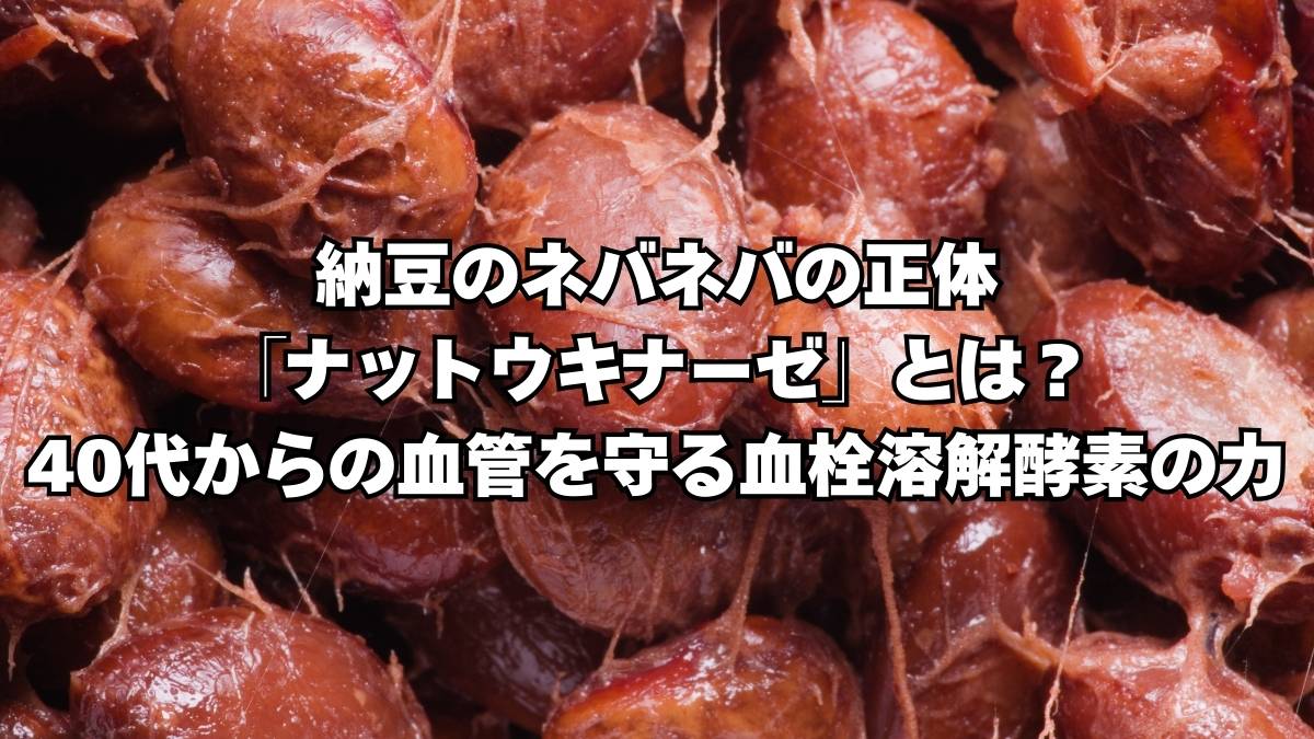 ナットウキナーゼ