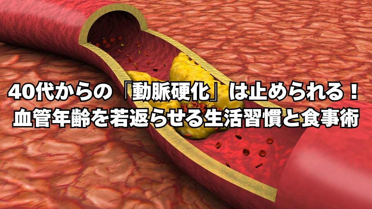 40代　動脈硬化