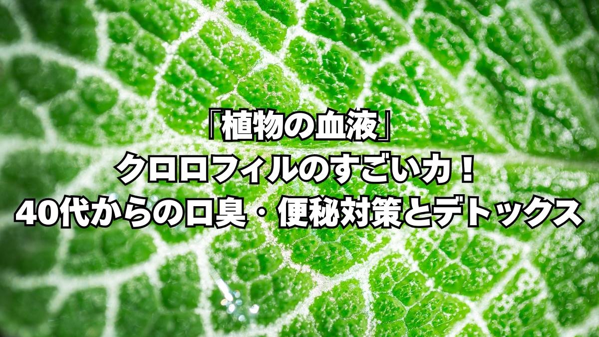 クロロフィル